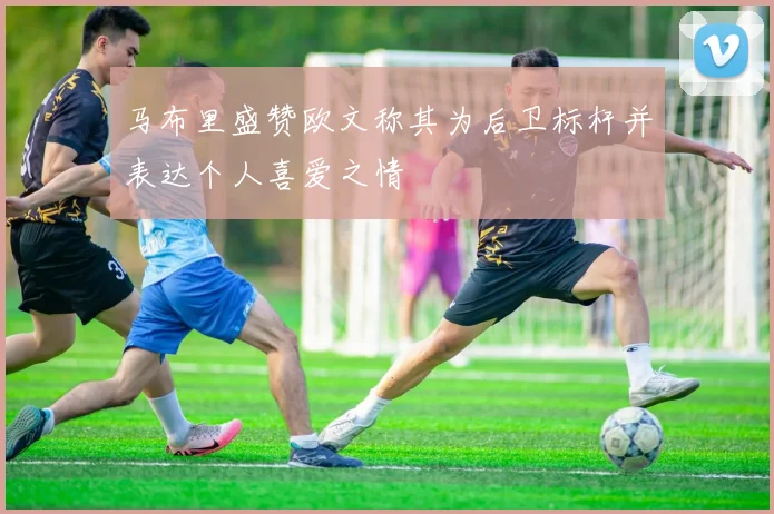 马布里盛赞欧文称其为后卫标杆并表达个人喜爱之情